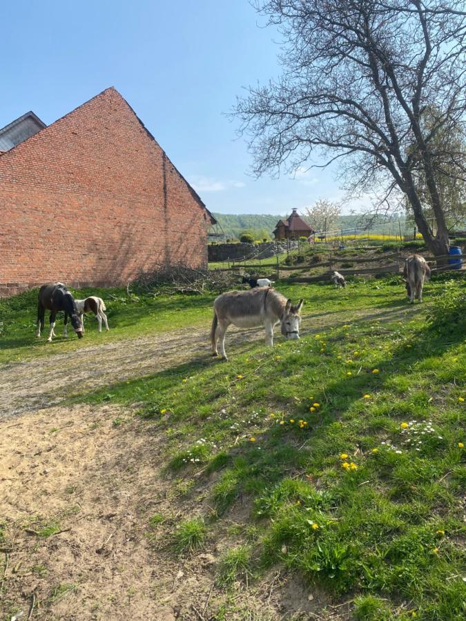 Fewo Im Reit- Und Ponyparadies Roos Halle  Kültér fotó
