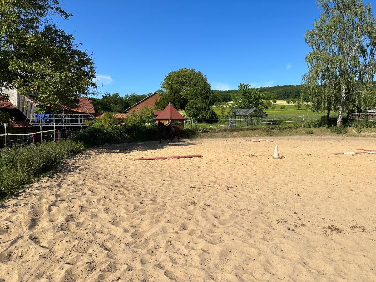 Fewo Im Reit- Und Ponyparadies Roos Halle  Kültér fotó