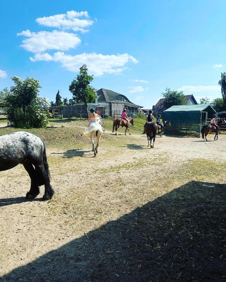Fewo Im Reit- Und Ponyparadies Roos Halle  Kültér fotó
