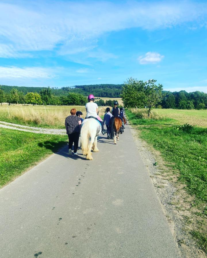 Fewo Im Reit- Und Ponyparadies Roos Halle  Kültér fotó