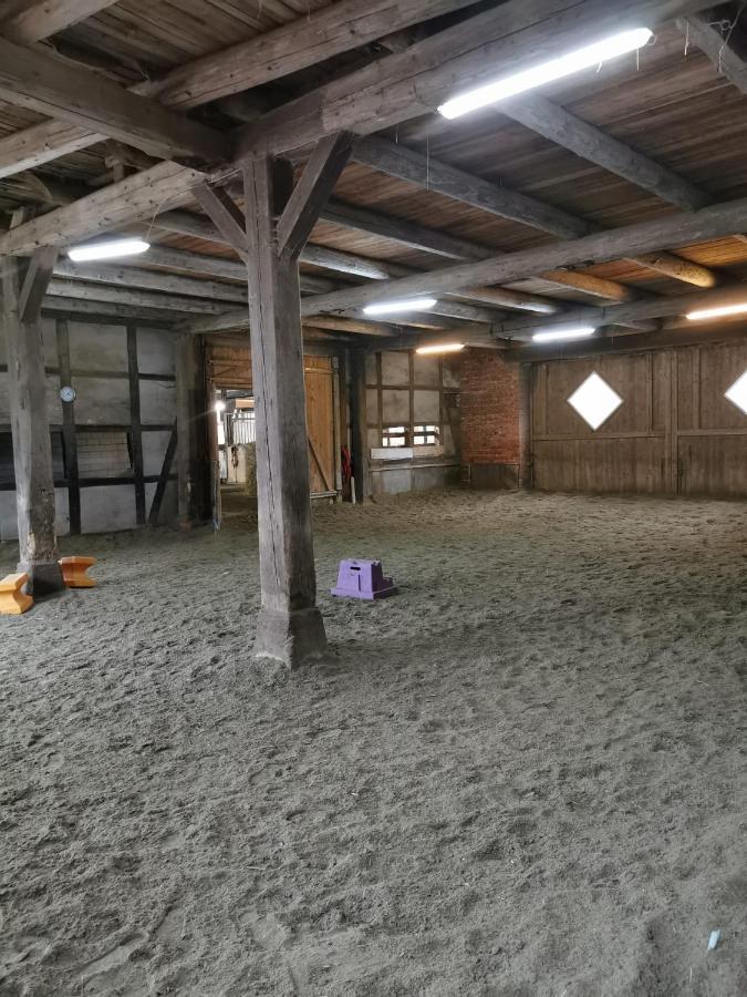 Fewo Im Reit- Und Ponyparadies Roos Halle  Kültér fotó