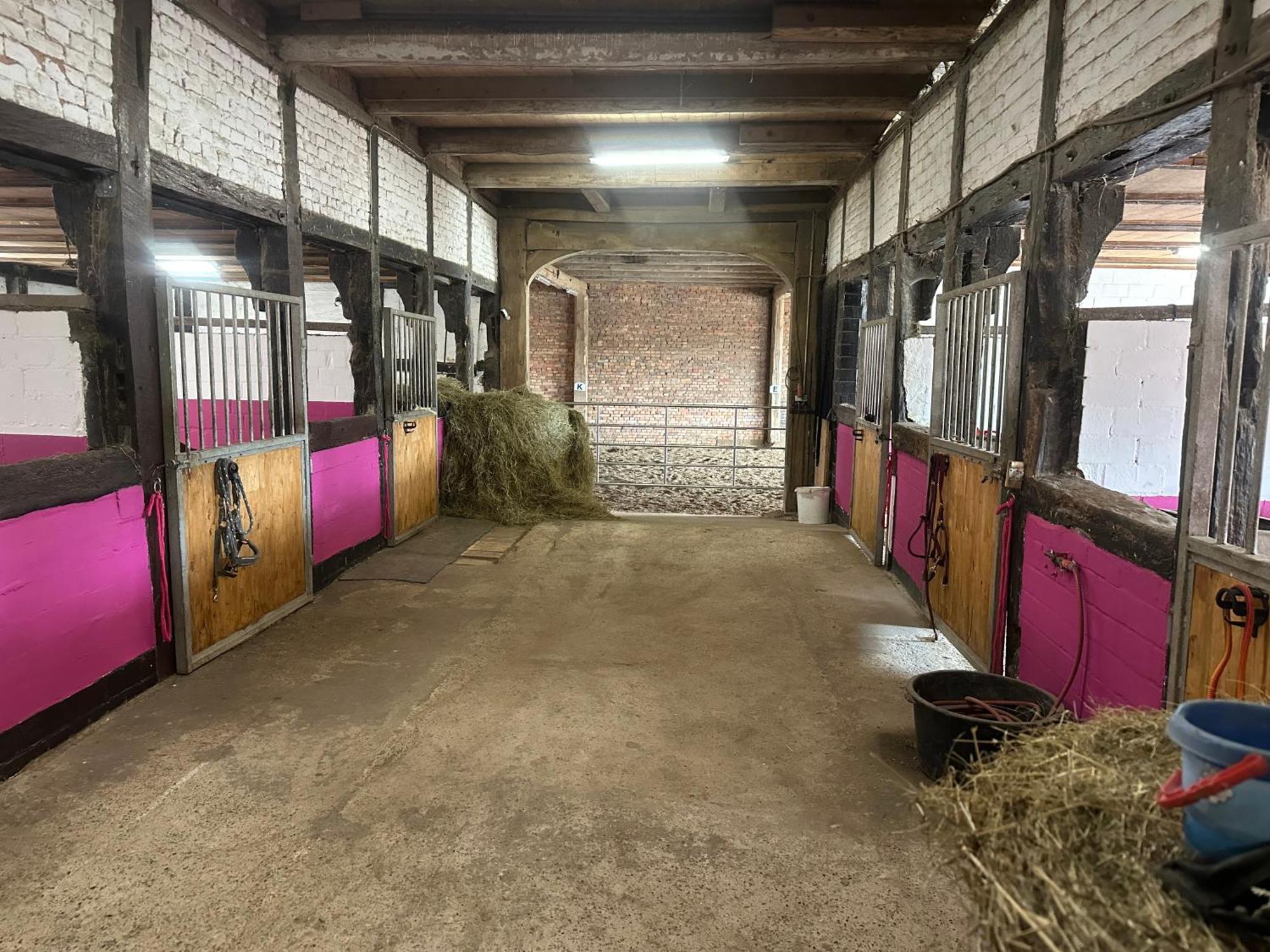 Fewo Im Reit- Und Ponyparadies Roos Halle  Kültér fotó