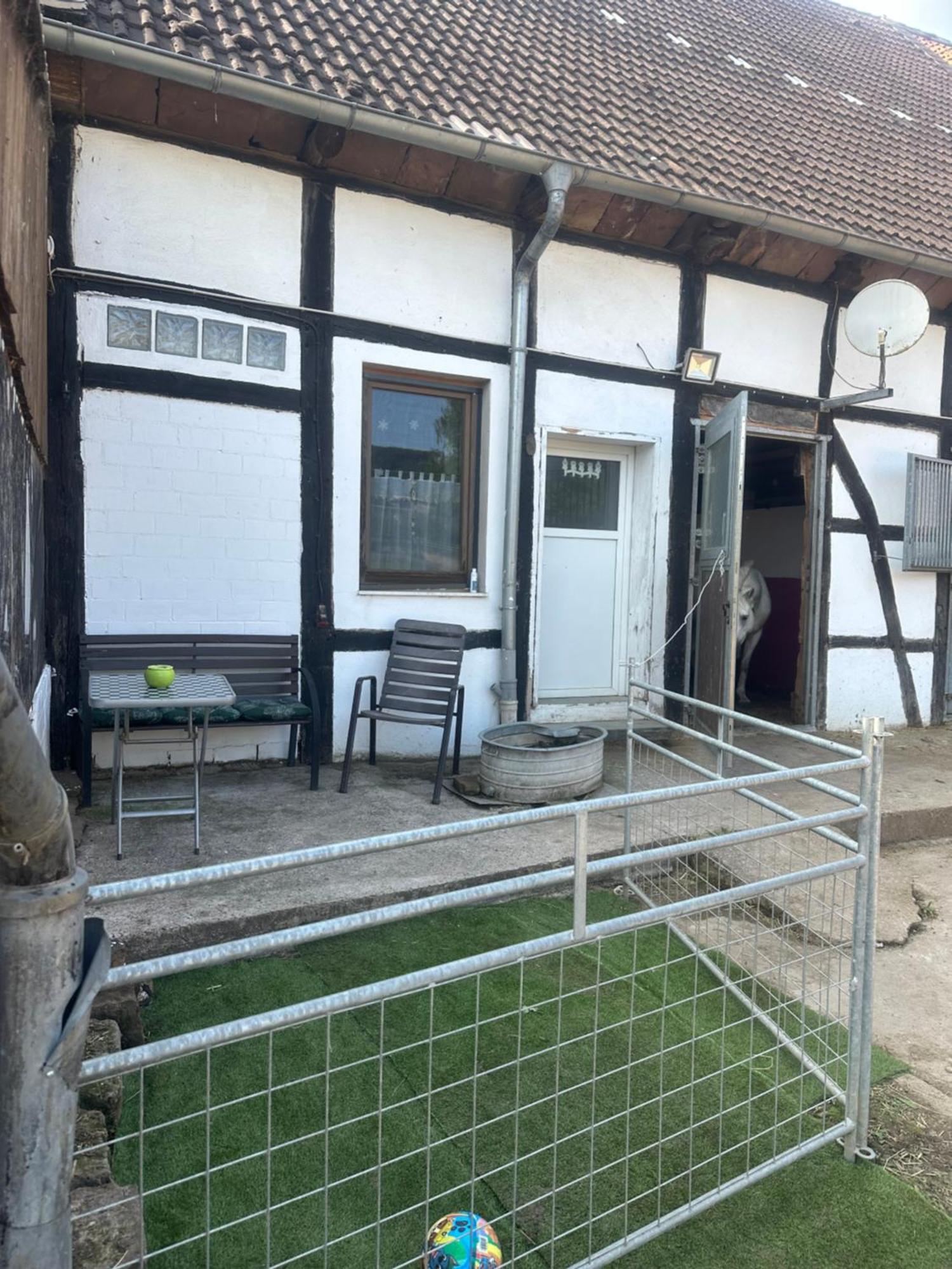 Fewo Im Reit- Und Ponyparadies Roos Halle  Kültér fotó